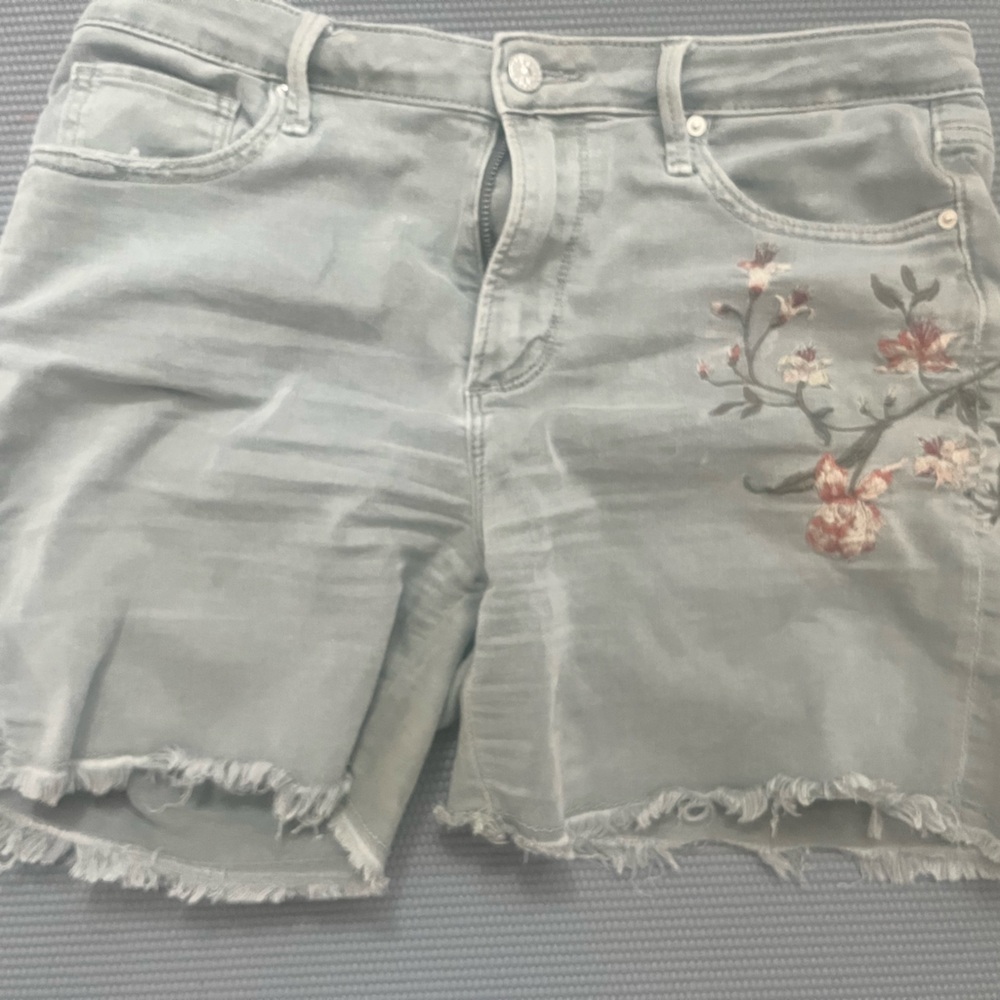 DRIFTWOOD Light Green Floral Embroidered Women Shorts